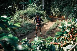 BIB: 
                            <button type="button" onclick="openModal(25856913)" class="btn btn-primary btn-sm float-right btn-popup" data-toggle="modal" data-target=".modal-high-quality">
                        <i class="fas fa-shopping-cart"></i> Add to Cart
                    </button>
                                            <button type="button" onclick="isThisMe(25856913, true)" class="btn btn-success btn-sm float-right btn-popup btn-isme hidden" data-toggle="tooltip" data-placement="bottom" title="นี่คือรูปของคุณใช่ไหม คลิกที่นี่เพื่อเอาเข้าอัลบั้ม">
                        <i class="fas fa-plus"></i> Add to album
                    </button>
                    <button type="button" onclick="isThisMe(25856913, false)" class="btn btn-warning btn-sm float-right btn-popup btn-isnotme hidden">
                        <i class="fas fa-ban"></i> Remove from album
                    </button>